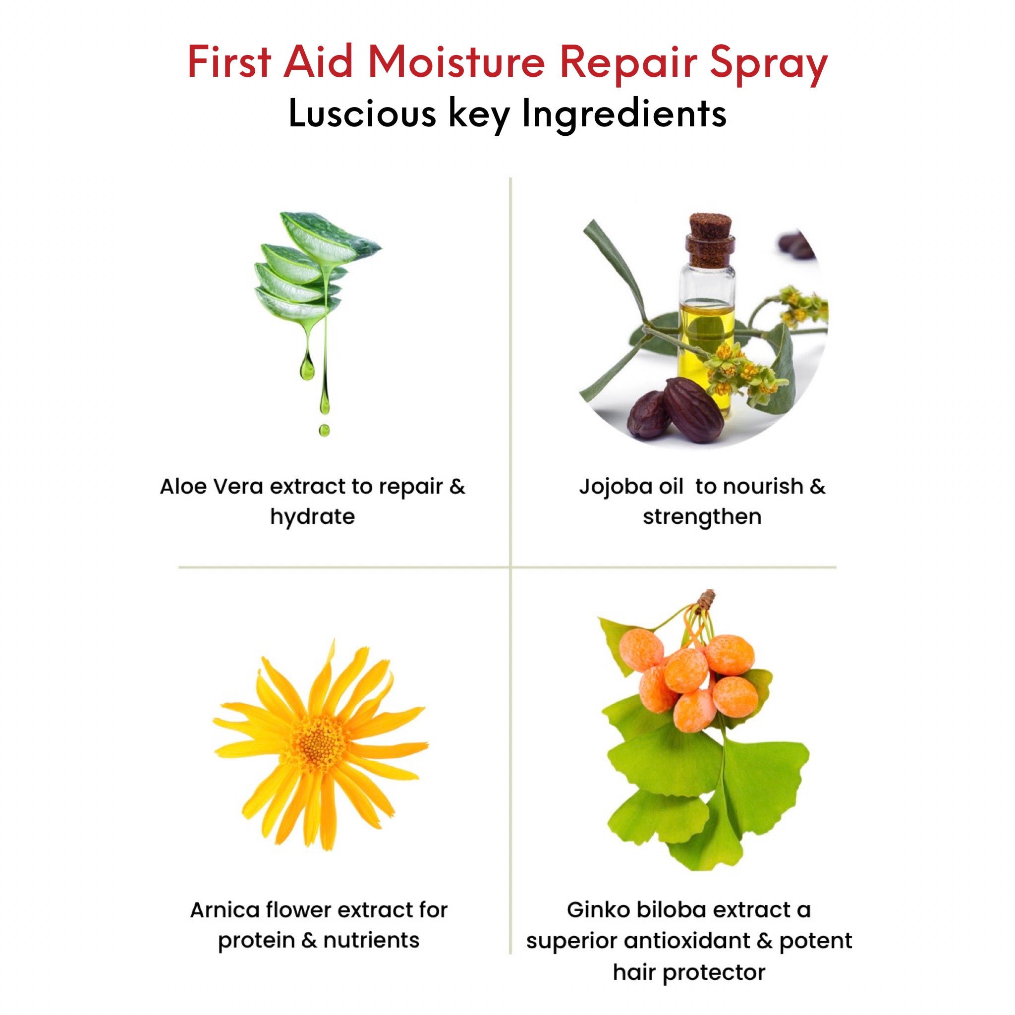 First Aid Moisture Repair Spray key ingredients. Aloe Vera extract to repair & hydrate. Jojoba oil to nourish & strengthen. Arnica flower extract for protein & nutrients. Ginko biloba extract a superior antioxidant & potent hair protector.