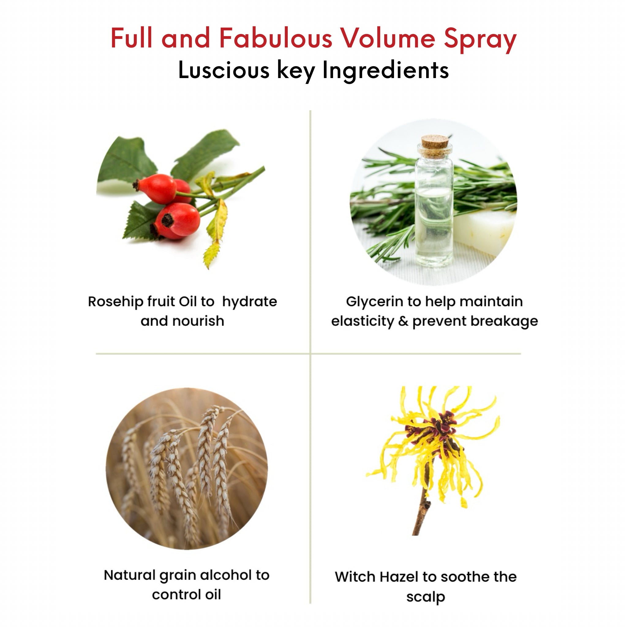 OMG Full & Fabulous Volumizing Styling Spray key ingredients. Rosehip fruit oil to hydrate and nourish, Glycerin to help elasticity & prevent breakage, Natural grain alcohol to control scalp oil, Witch hazel to sooth the scalp.