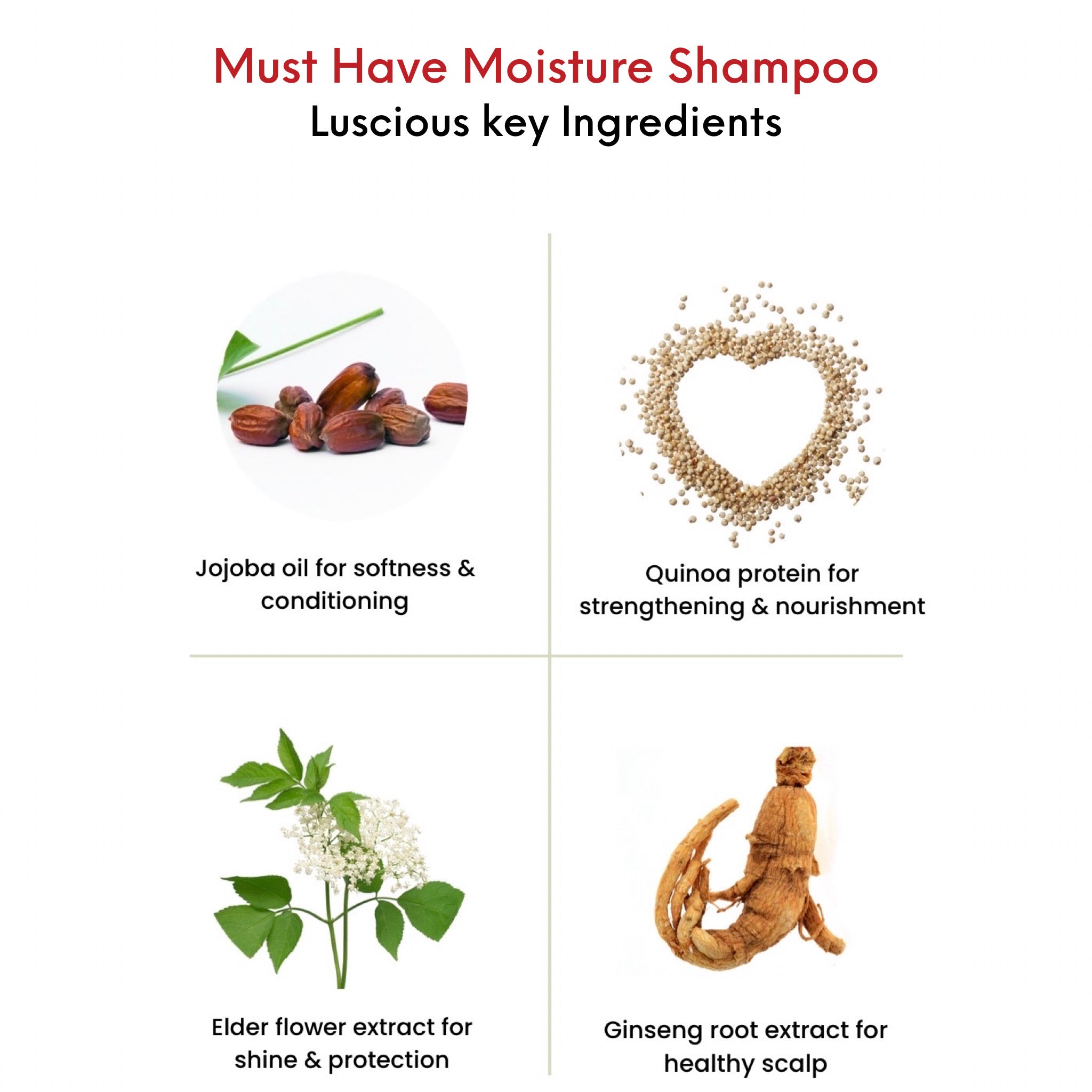 OMG Must Have Moisture Hydrating Shampoo Key Ingredients. Jojoba oil for softness and conditioning. Quinoa protein for strengthening and nourishment. Elder flower extract for shine and protection. Ginseng root extract for healthy scalp.