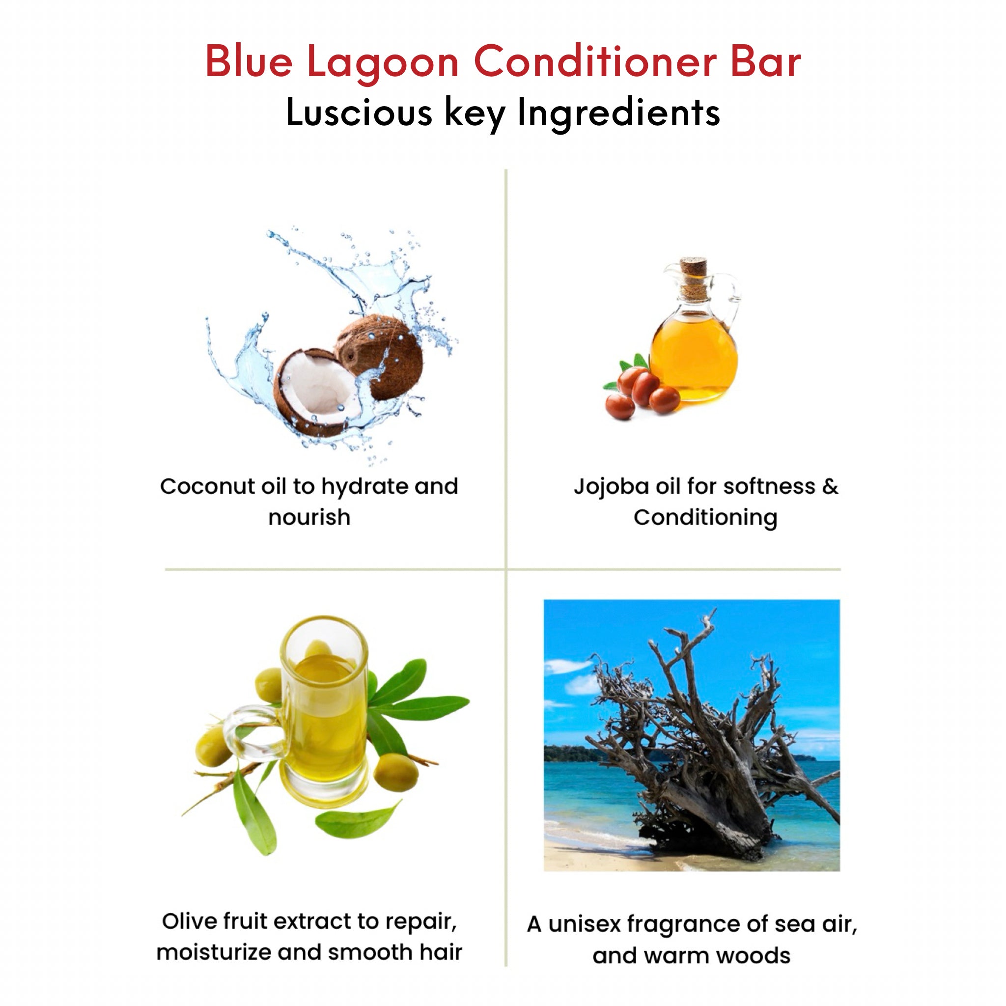 OMG Blue Lagoon Conditioner Bar Key Ingredients. Coconut oil to hydrate and nourish.  Jojoba oil for softness and conditioning. Olive fruit extract to moisturize and smooth hair.  A unisex fragrance of sea air and warm woods. 