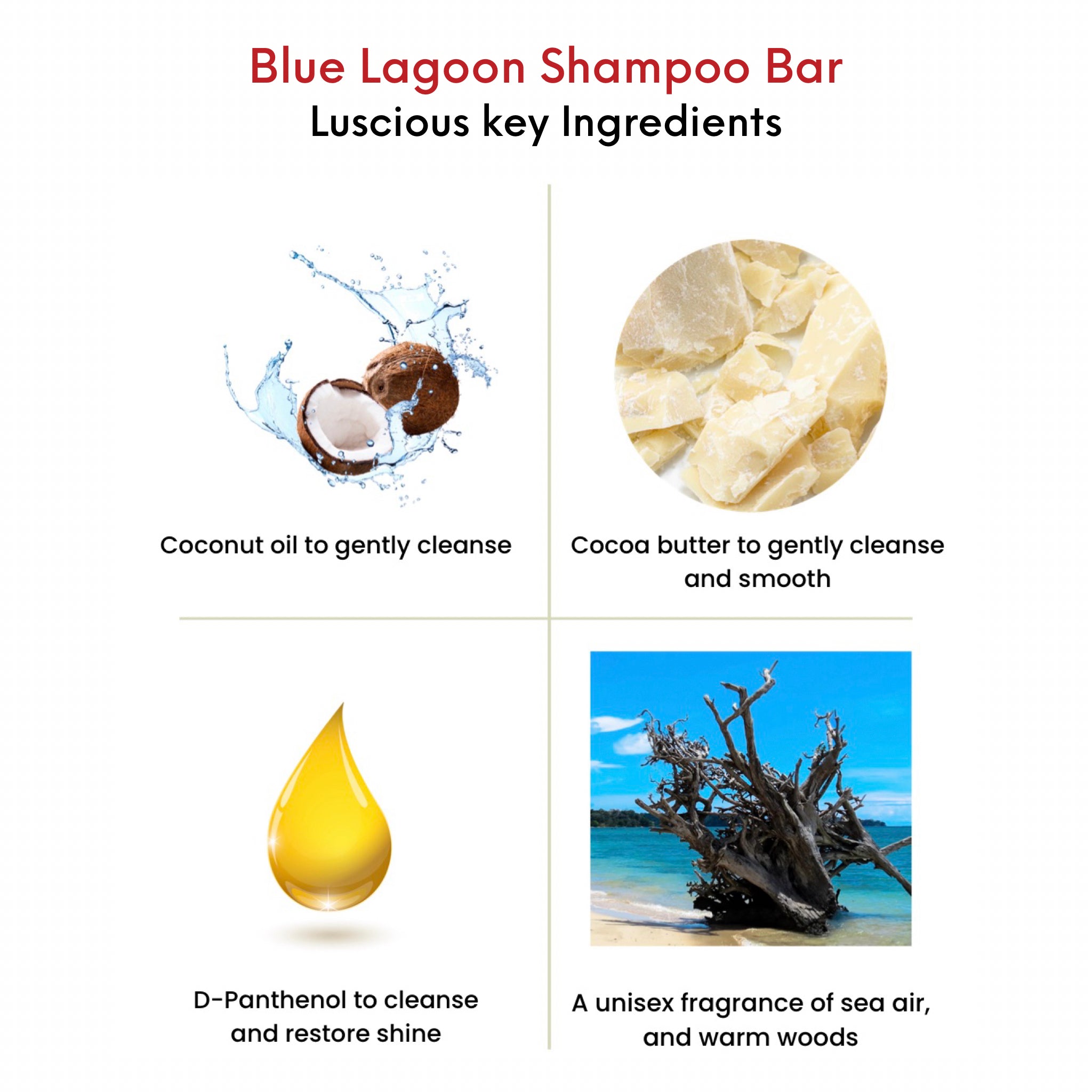 OMG Blue Lagoon Shampoo Bar key ingredients. Coconut oil to gently cleanse.  Cocoa butter to gently cleanse and smooth.  D-Panthenol to cleanse and restore shine. A unisex fragrance of sea air and warm woods.