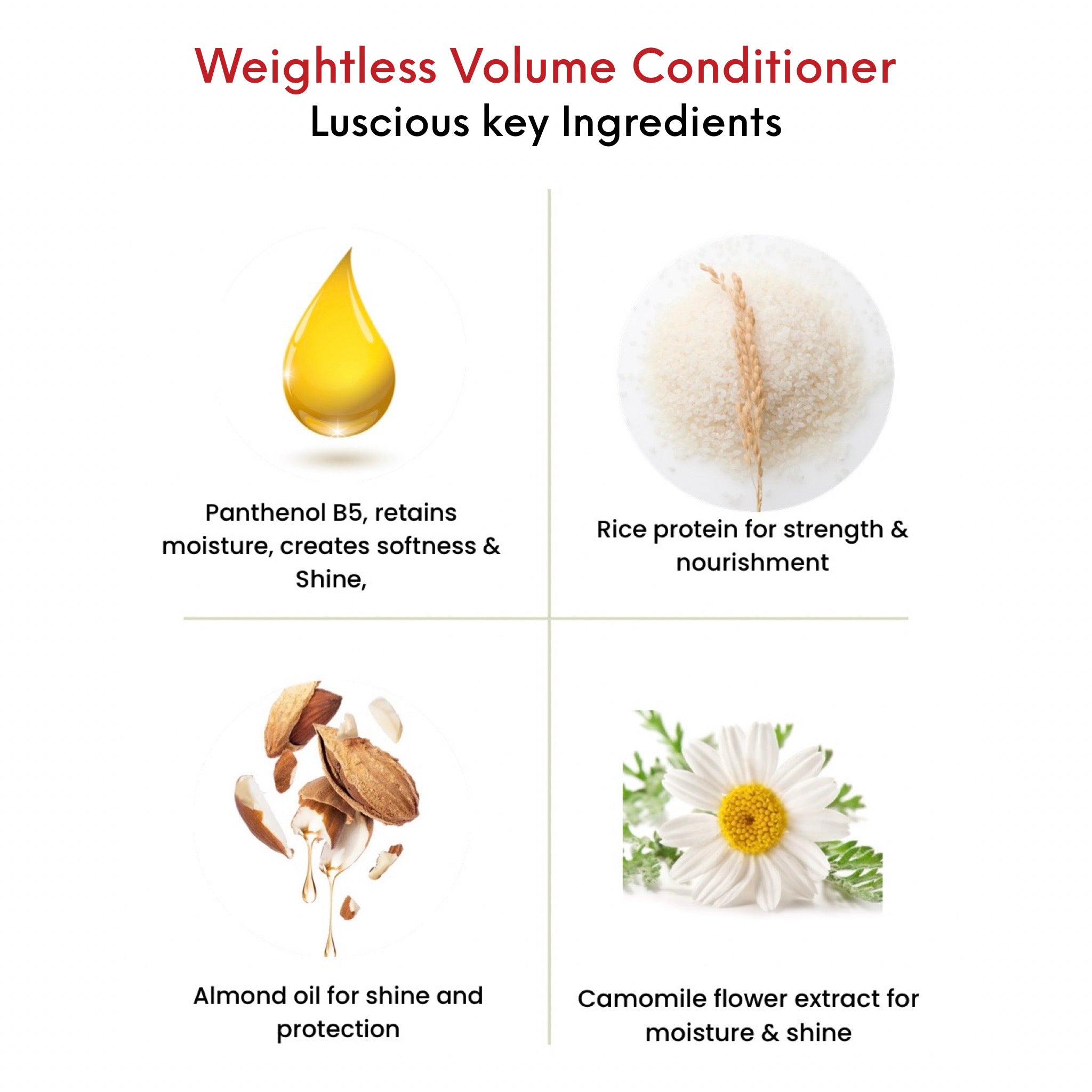 OMG Weightless Volume Conditioner key ingredients.  Panthenol B5 to retain moisture, create softness and shine.  Rice protein for strength and nourishment.  Almond oil for shine and protection.  Camomile flower extract for moisture and shine.